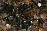 Lazulite Cluster with Siderite and Quartz - Yukon, Canada #283023-2